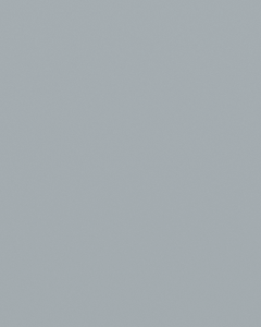 Interpon A4700 - Primer - Grey - Lisse Brillant EL113GF