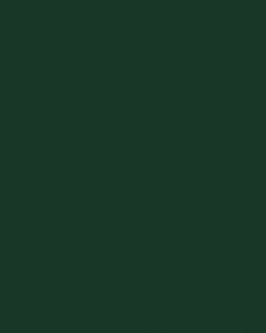Interpon D1000 Excel - Hawthorn Green - Smooth Gloss GK030A 20 KG