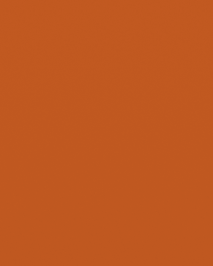 Interpon 610 - Bistro Orange - Smooth Gloss MF014A 20 KG