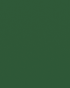 Interpon 610 - Lawn Green - Smooth Gloss MK038A 20 KG