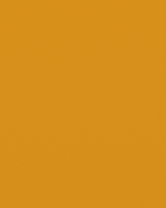 Interpon 620 AF - Yellow 5001 glatt glanz - Liso Brillante OE500D