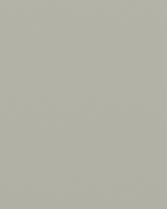 Interpon 620 - Grey - Liso Brillante OL001GF