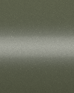 Interpon D2525 - Lichen - Metalizado Textura fina Y4326I