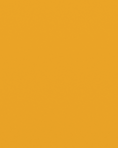 Interpon ACE 2010 - Yellow 257 - Lisse Brillant YE051F