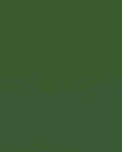 Interpon D2525 - Shamrock Green - Smooth Gloss YK043A 20 KG