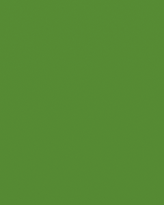 Interpon D2525 - Viper Green - Smooth Gloss YK051A 20 KG